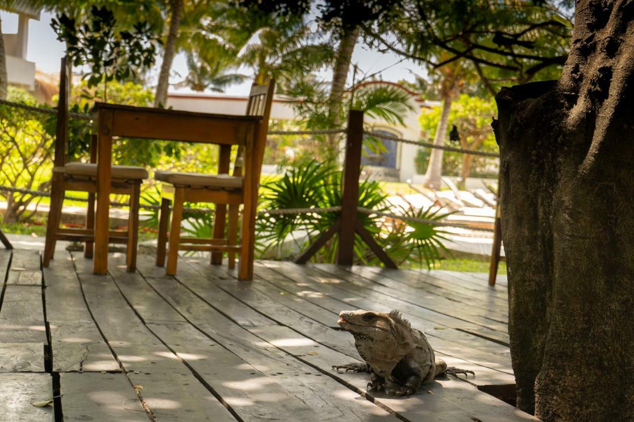 Marina Paraiso Isla Mujeres Hotel Zewnętrze zdjęcie